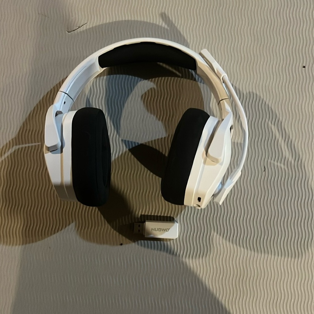 BT Headphones